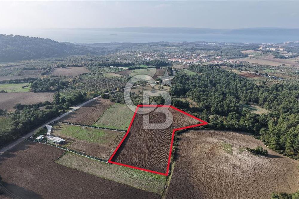 ÇANAKKALE ÇINARLI KÖYÜ YATIRIM DEĞERİ ÇOK GÜÇLÜ SATILIK HİSSE