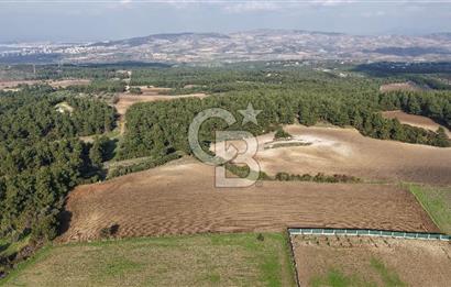 ÇANAKKALE ÇINARLI KÖYÜ YATIRIM DEĞERİ ÇOK GÜÇLÜ SATILIK HİSSE