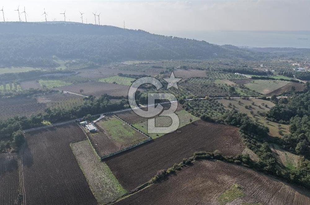 ÇANAKKALE ÇINARLI KÖYÜ YATIRIM DEĞERİ ÇOK GÜÇLÜ SATILIK HİSSE