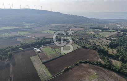 ÇANAKKALE ÇINARLI KÖYÜ YATIRIM DEĞERİ ÇOK GÜÇLÜ SATILIK HİSSE