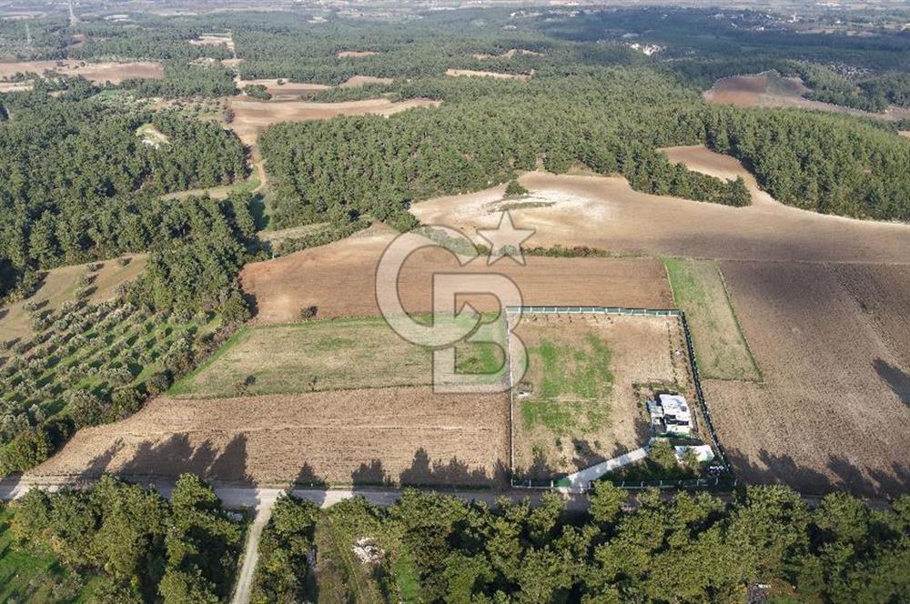 ÇANAKKALE ÇINARLI KÖYÜ YATIRIM DEĞERİ ÇOK GÜÇLÜ SATILIK HİSSE