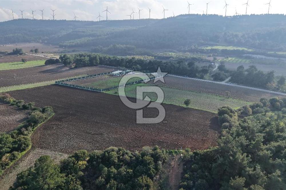 ÇANAKKALE ÇINARLI KÖYÜ YATIRIM DEĞERİ ÇOK GÜÇLÜ SATILIK HİSSE