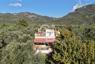 AYVACIK AHMETÇE EŞSİZ KONUMDA DENİZE 40 MT SATILIK VİLLA & ARAZİ - 1 - 327820