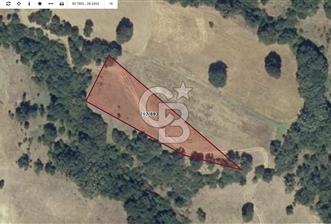 CB SILVER DAN KEPSUT BÜKDERE DE 2358 M2 YATIRIMLIK TARLA - 1 - 327818