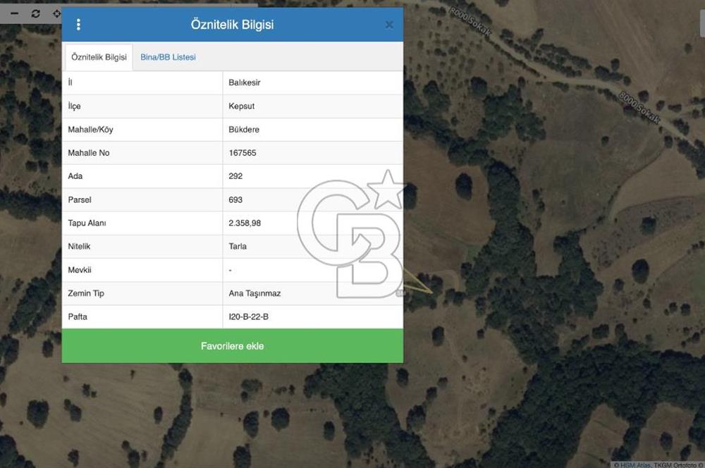 CB SILVER DAN KEPSUT BÜKDERE DE 2358 M2 YATIRIMLIK TARLA