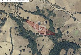 CB SILVER DAN KEPSUT BÜKDERE DE 4120 M2 YATIRIMLIK TARLA - 1 - 327819