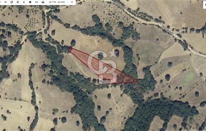 CB SILVER DAN KEPSUT BÜKDERE DE 4120 M2 YATIRIMLIK TARLA