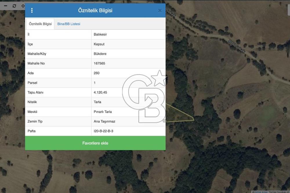CB SILVER DAN KEPSUT BÜKDERE DE 4120 M2 YATIRIMLIK TARLA