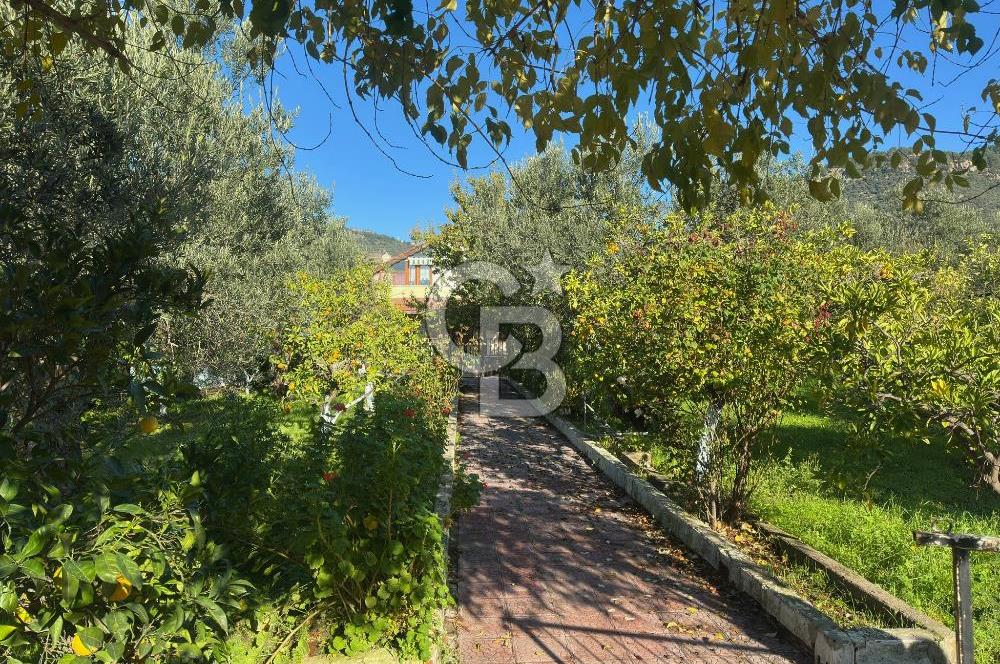 AYVACIK AHMETÇE EŞSİZ KONUMDA DENİZE 40 MT SATILIK VİLLA & ARAZİ