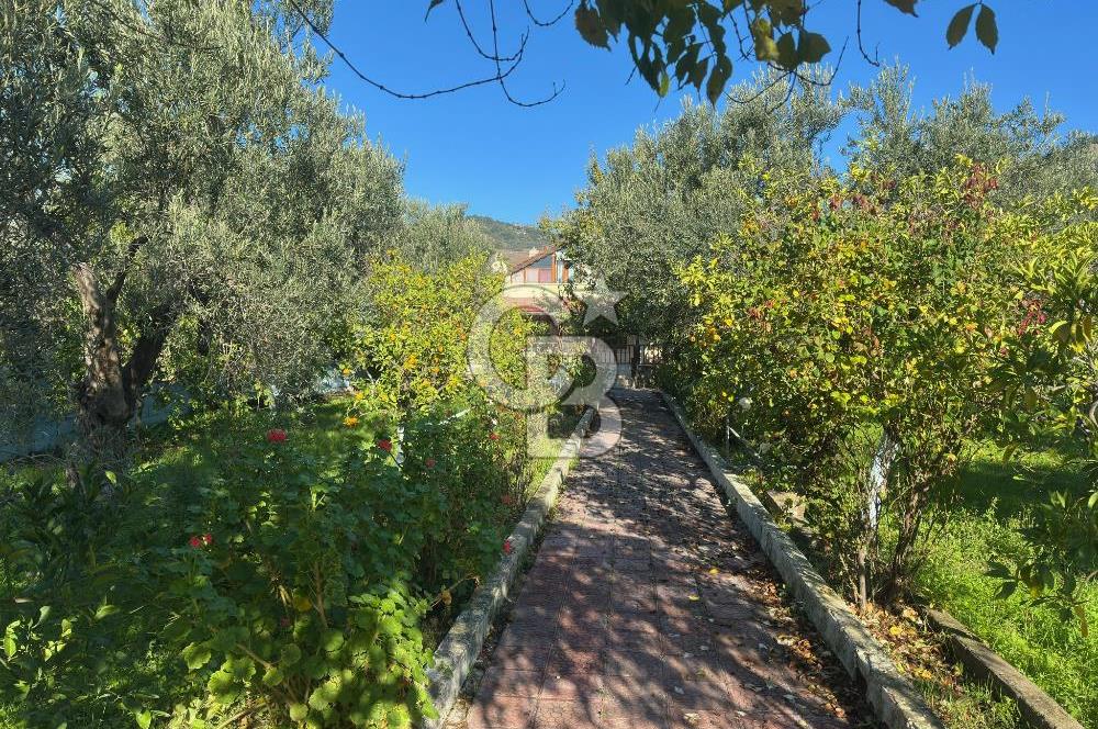 AYVACIK AHMETÇE EŞSİZ KONUMDA DENİZE 40 MT SATILIK VİLLA & ARAZİ