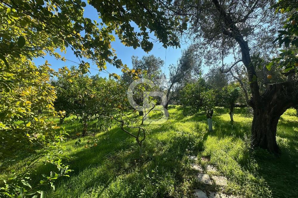 AYVACIK AHMETÇE EŞSİZ KONUMDA DENİZE 40 MT SATILIK VİLLA & ARAZİ