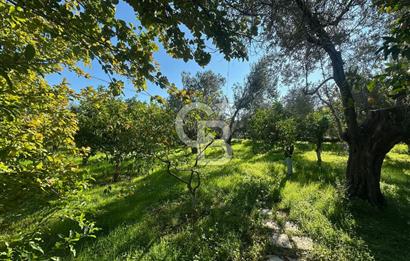 AYVACIK AHMETÇE EŞSİZ KONUMDA DENİZE 40 MT SATILIK VİLLA & ARAZİ