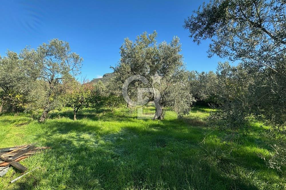 AYVACIK AHMETÇE EŞSİZ KONUMDA DENİZE 40 MT SATILIK VİLLA & ARAZİ