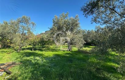 AYVACIK AHMETÇE EŞSİZ KONUMDA DENİZE 40 MT SATILIK VİLLA & ARAZİ