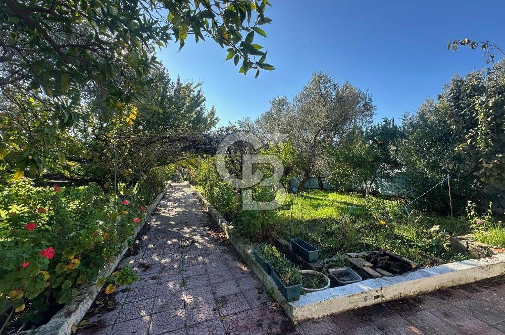 AYVACIK AHMETÇE EŞSİZ KONUMDA DENİZE 40 MT SATILIK VİLLA & ARAZİ