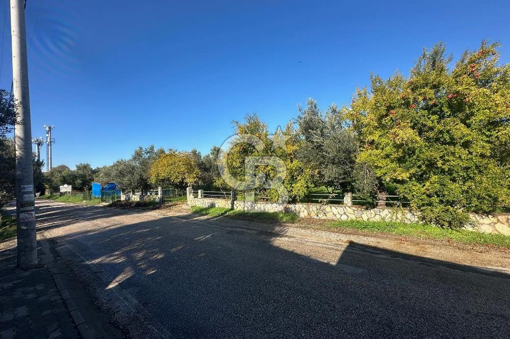 AYVACIK AHMETÇE EŞSİZ KONUMDA DENİZE 40 MT SATILIK VİLLA & ARAZİ