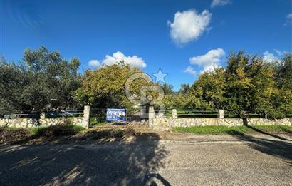 AYVACIK AHMETÇE EŞSİZ KONUMDA DENİZE 40 MT SATILIK VİLLA & ARAZİ