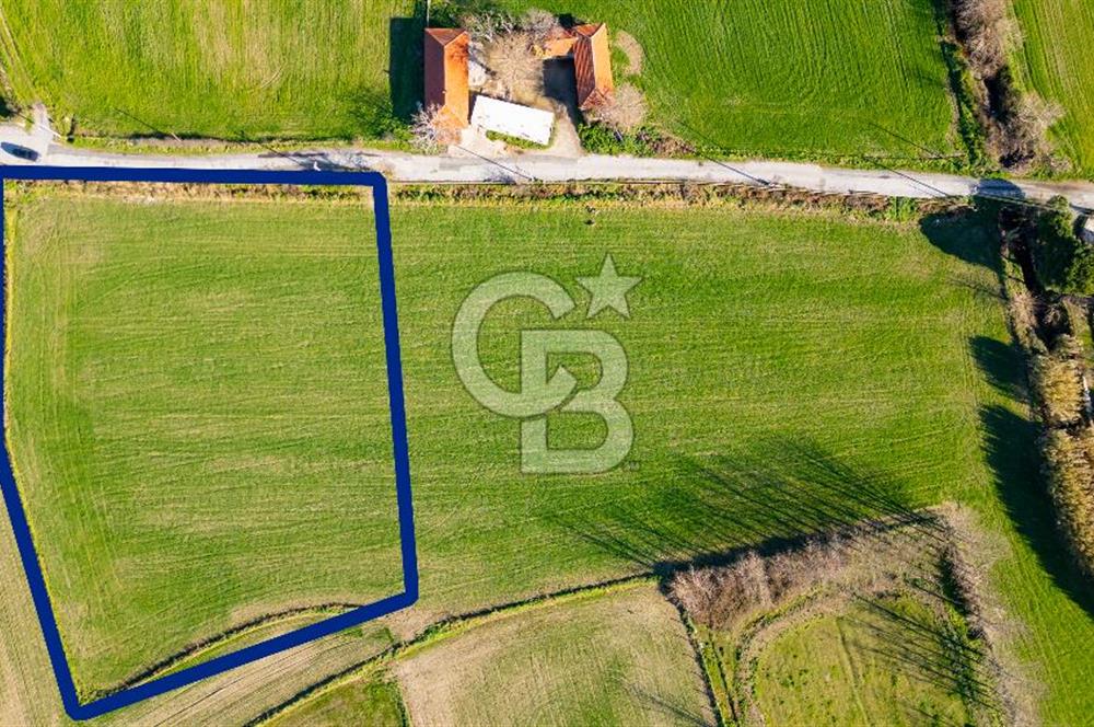 Foça Hacıveli Mah. Satılık Tarla