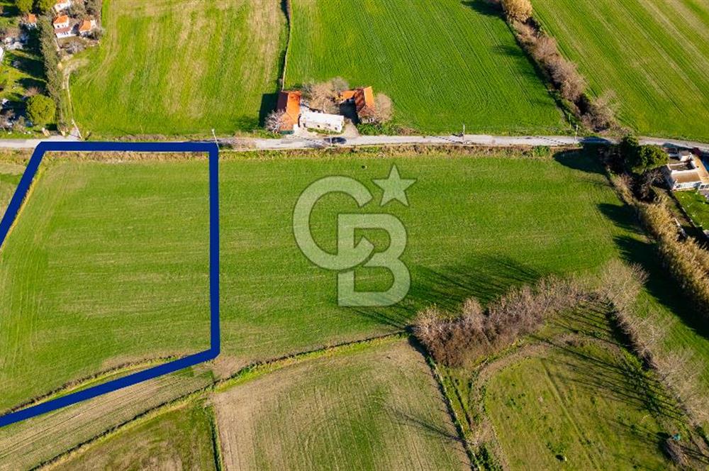 Foça Hacıveli Mah. Satılık Tarla