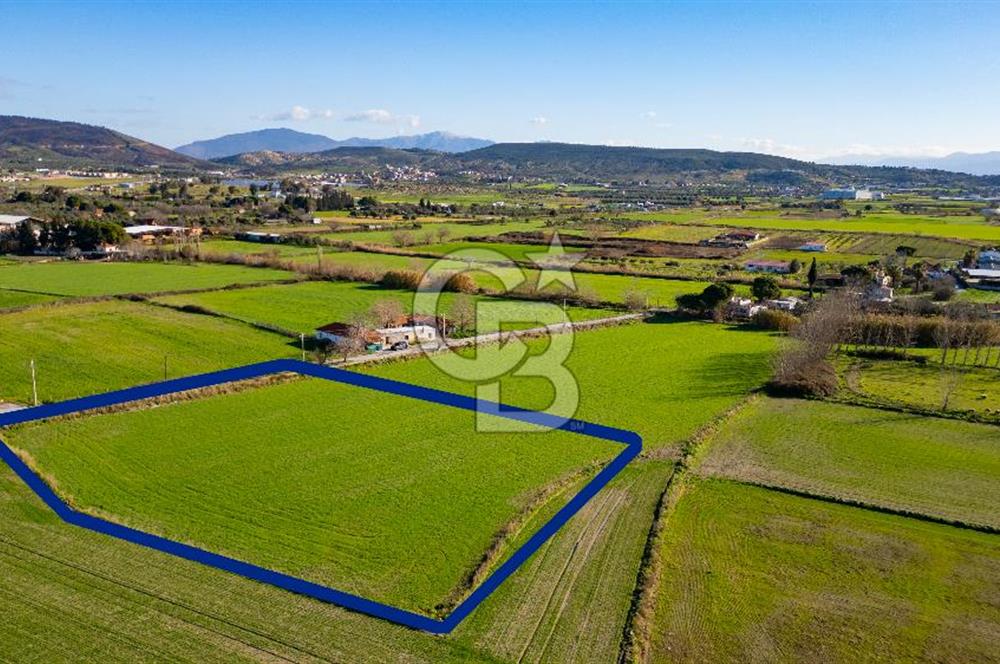 Foça Hacıveli Mah. Satılık Tarla