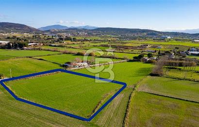 Foça Hacıveli Mah. Satılık Tarla