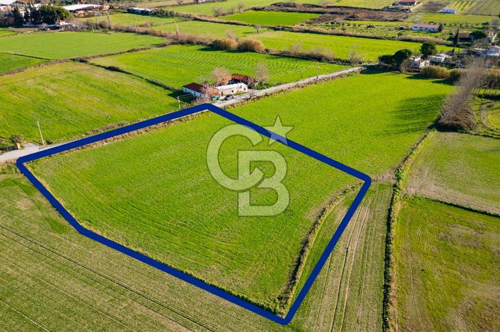 Foça Hacıveli Mah. Satılık Tarla