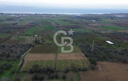 ÇANAKKALE LAPSEKİ ÇARDAK’TA SATILIK TARLA
