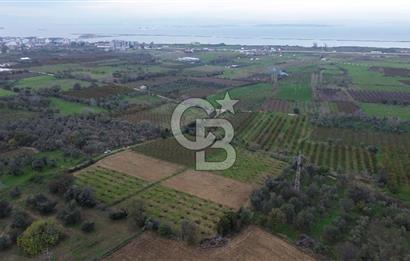 ÇANAKKALE LAPSEKİ ÇARDAK’TA SATILIK TARLA