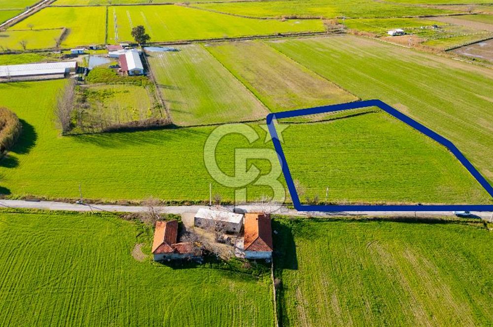 Foça Hacıveli Mah. Satılık Tarla