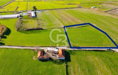 Foça Hacıveli Mah. Satılık Tarla