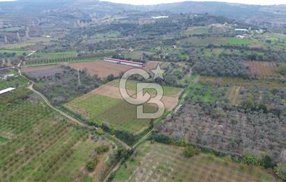 ÇANAKKALE LAPSEKİ ÇARDAK’TA SATILIK TARLA