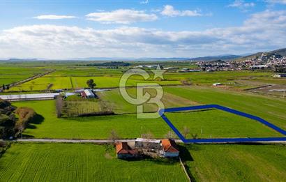 Foça Hacıveli Mah. Satılık Tarla