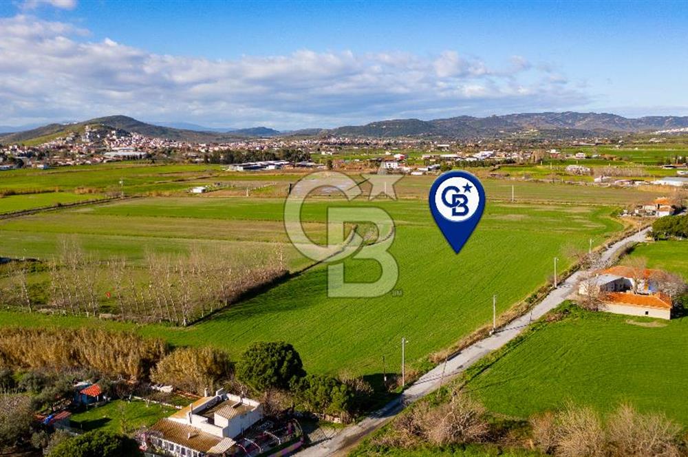 Foça Hacıveli Mah. Satılık Tarla