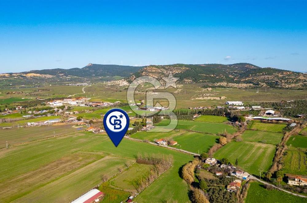 Foça Hacıveli Mah. Satılık Tarla