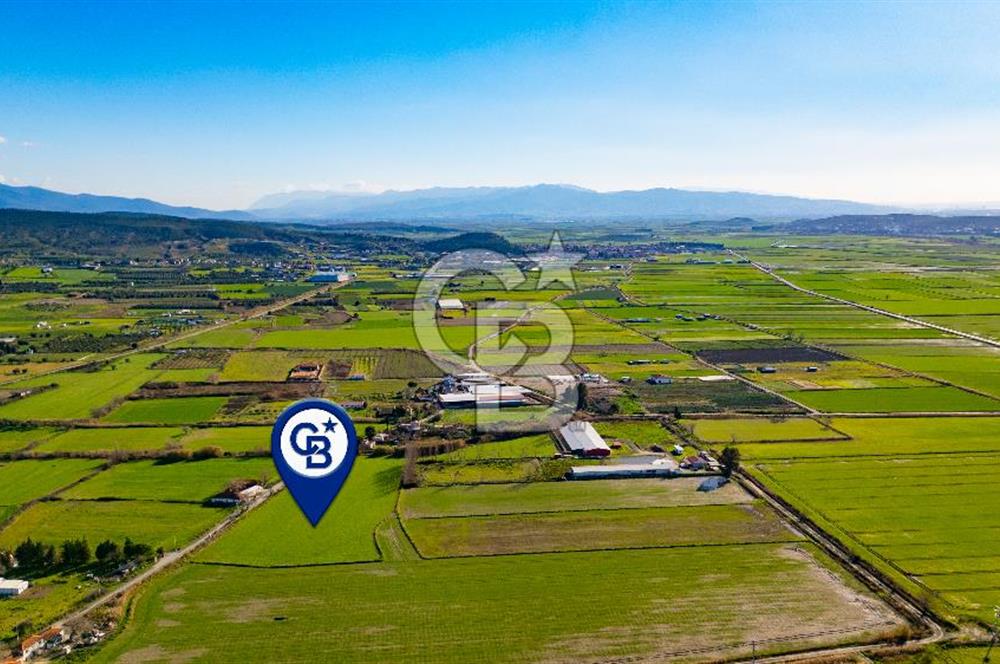 Foça Hacıveli Mah. Satılık Tarla