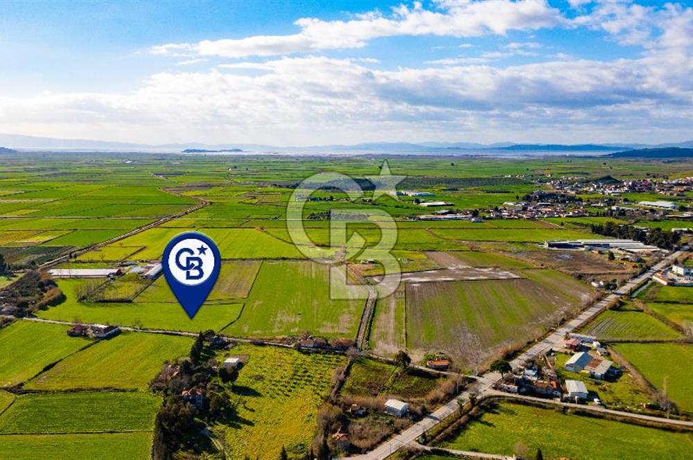 Foça Hacıveli Mah. Satılık Tarla