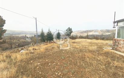 COLDWELL BANKER SAFİR'dn MULLAKASIM da VİLLA İMARLI SATILIK ARSA