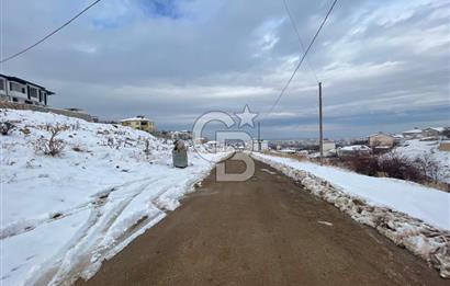 COLDWELL BANKER SAFİR'den GEDİK de VİLLA İMARLI SATILIK ARSA