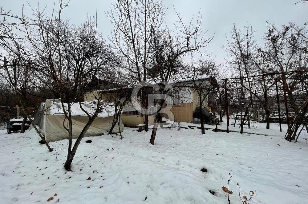 COLDWELL BANKER SAFİR'den YAKINCA da KONUT İMARLI SATILIK ARSA