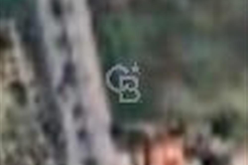 Antalya Manavgat Çolaklıda  satılık arsa