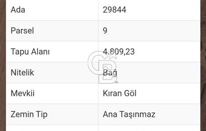 KEPEZ KIZILLI'DA TEK TAPU TARLA+BAĞ