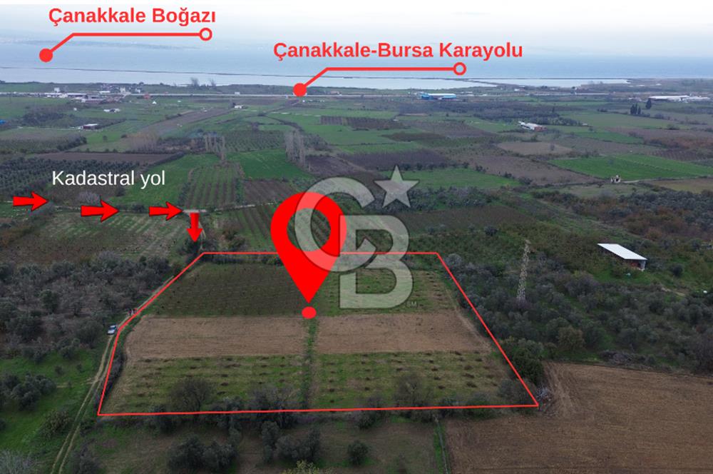 ÇANAKKALE LAPSEKİ ÇARDAK’TA SATILIK TARLA