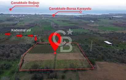 ÇANAKKALE LAPSEKİ ÇARDAK’TA SATILIK TARLA
