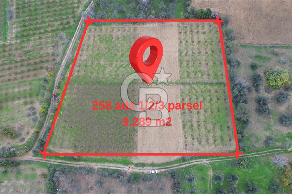 ÇANAKKALE LAPSEKİ ÇARDAK’TA SATILIK TARLA