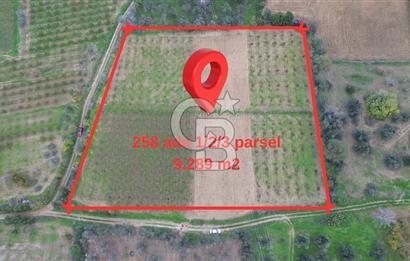 ÇANAKKALE LAPSEKİ ÇARDAK’TA SATILIK TARLA