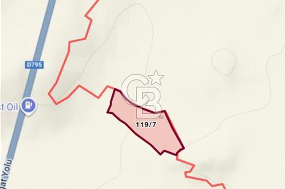 ÇORUM ALACA KARGIN ATPINARI MEVKİİNDE 11.562 M2 SATILIK TARLA