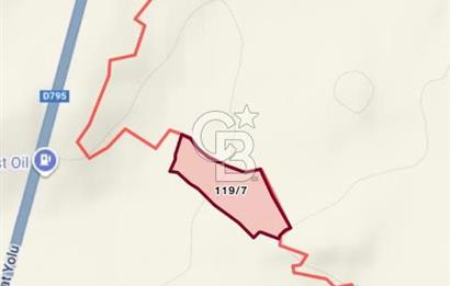 ÇORUM ALACA KARGIN ATPINARI MEVKİİNDE 11.562 M2 SATILIK TARLA