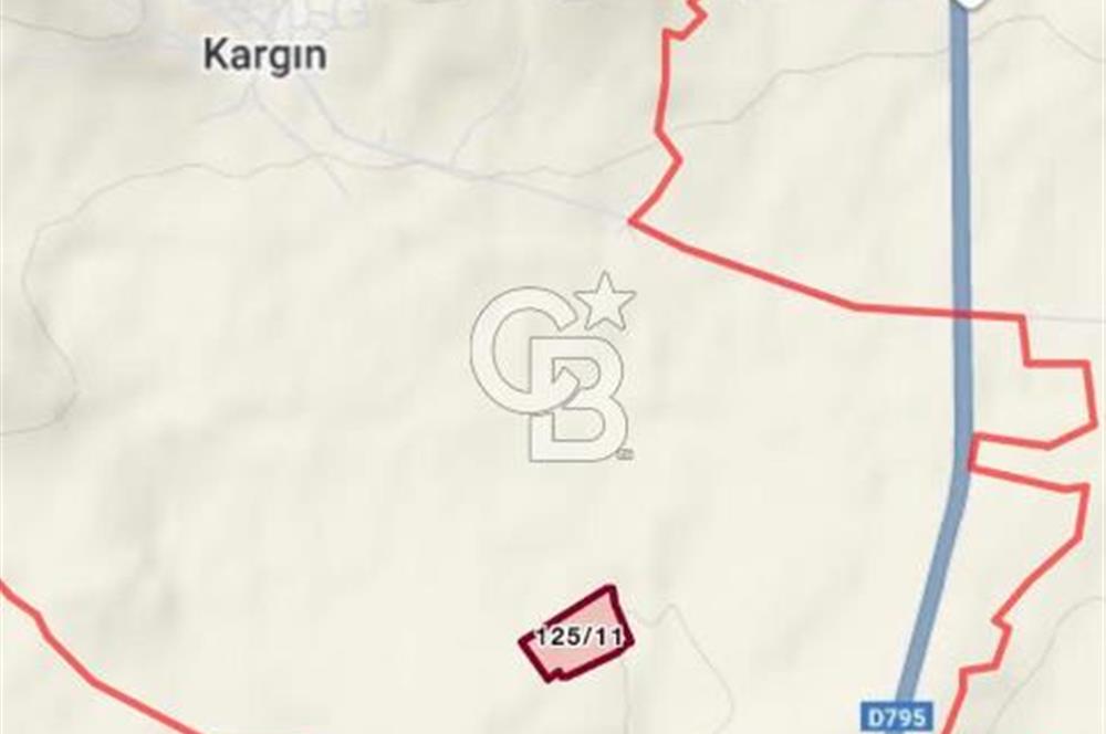 ÇORUM ALACA KARGIN UZAMIŞ MEVKİİ 8.177 M2 SATILIK TARLA