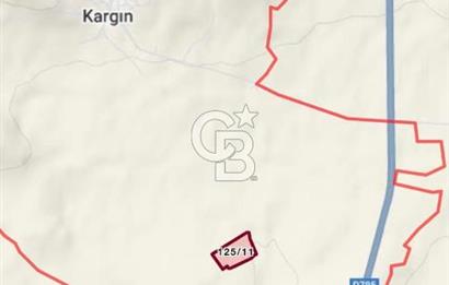 ÇORUM ALACA KARGIN UZAMIŞ MEVKİİ 8.177 M2 SATILIK TARLA