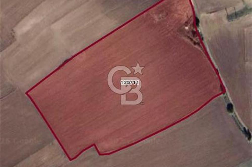ÇORUM ALACA KARGIN UZAMIŞ MEVKİİ 8.177 M2 SATILIK TARLA